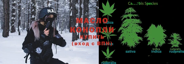 стаф Вяземский