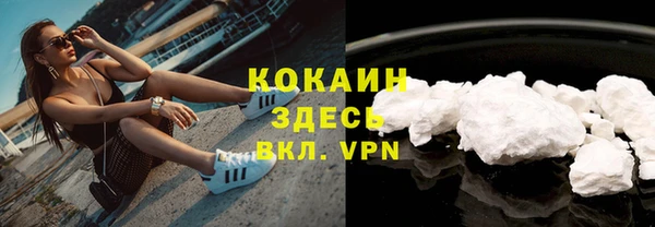 стаф Вяземский