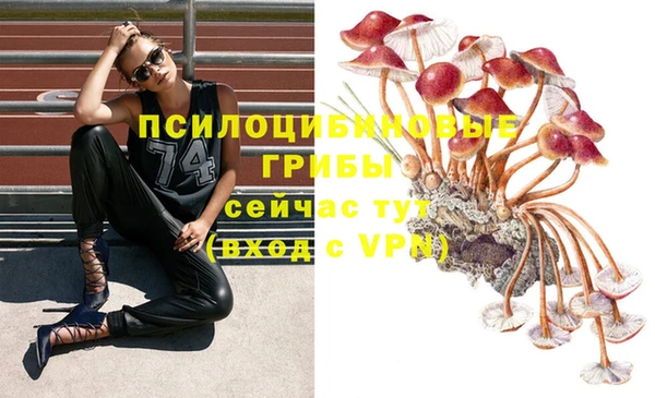 таблы Вязники