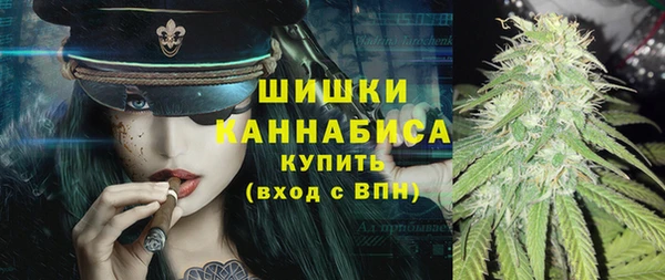 стаф Вяземский