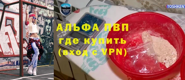 стаф Вяземский