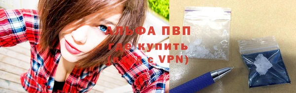 стаф Вяземский